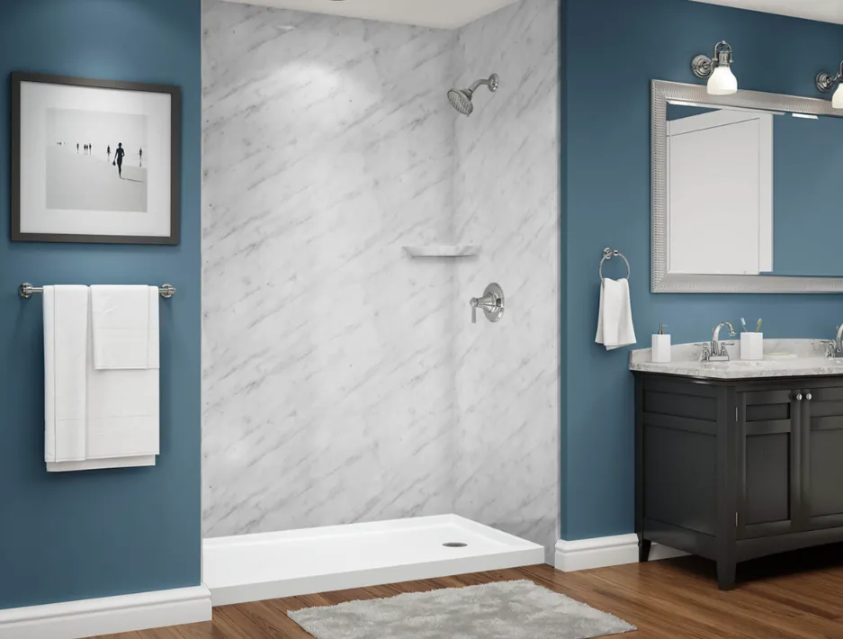 Tub to shower conversion transformation in Maryland home